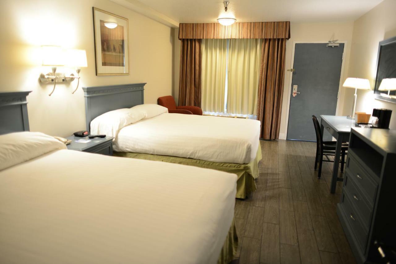 Queen Room Two Queen Beds,721539670:JPEG