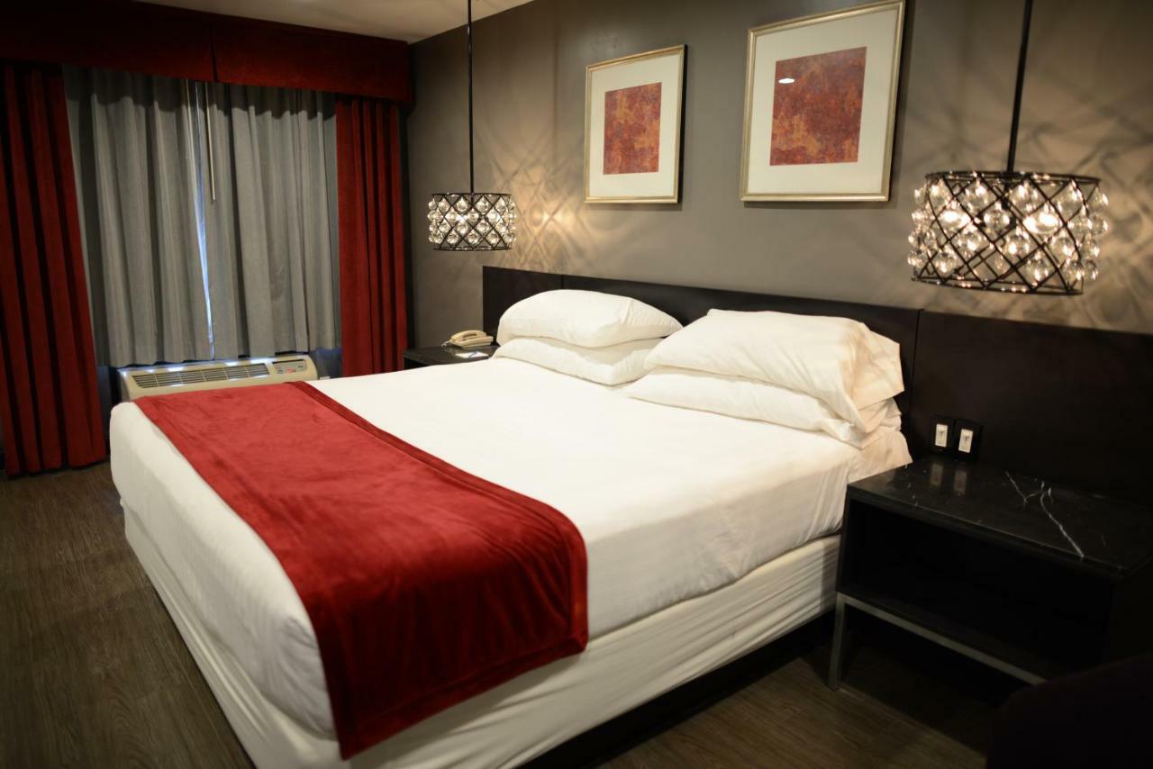 Deluxe Single Room,1153872189:JPEG