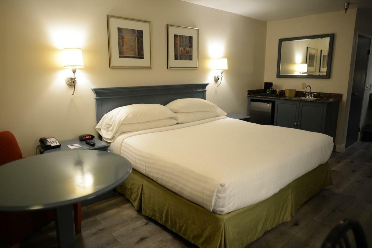 Standard Single Room,1153872132:JPEG